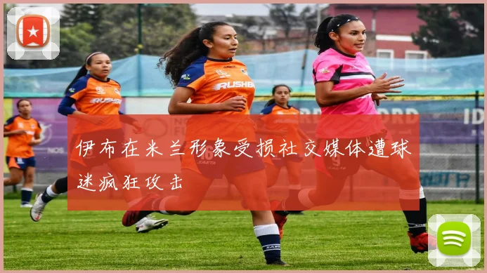 伊布在米兰形象受损社交媒体遭球迷疯狂攻击